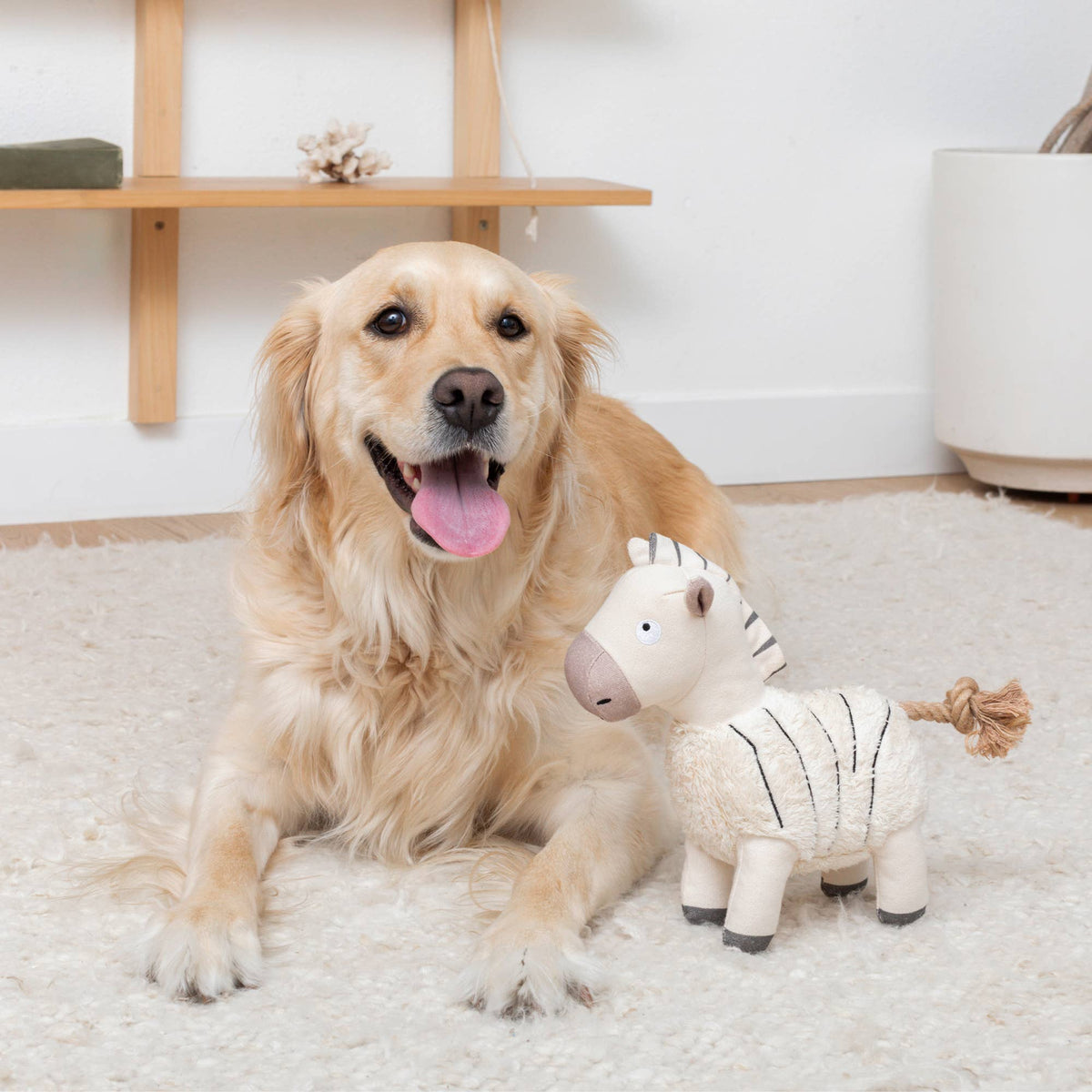 Petshop by Fringe Studio - Earned My Stripes
