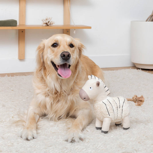 Petshop by Fringe Studio - Earned My Stripes