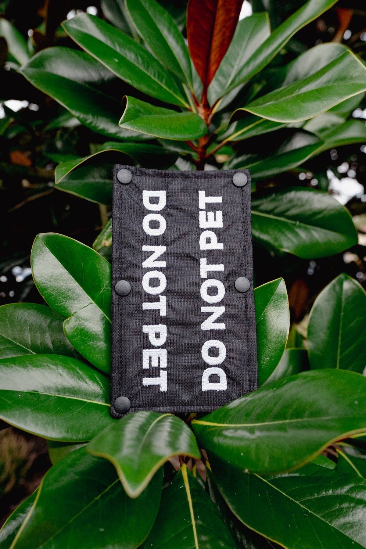 Love Liparu - Waterproof Leash Wrap
