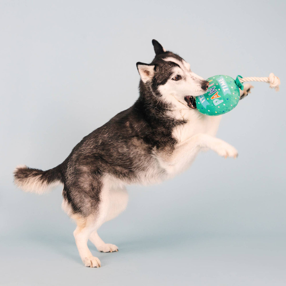 Petshop by Fringe Studio - I Pawty, You Pawty Balloon