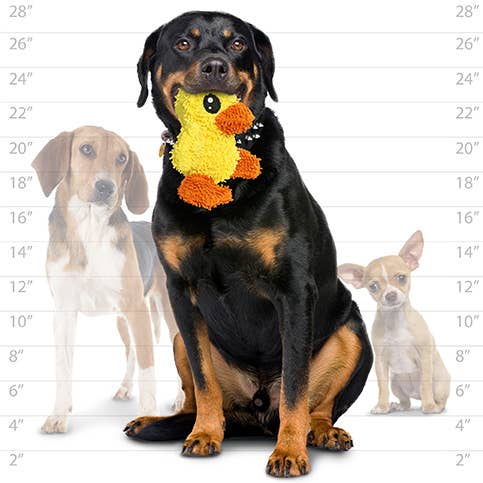 Tuffy Dog Toys - Mighty Microfiber Ball - Duck - Medium