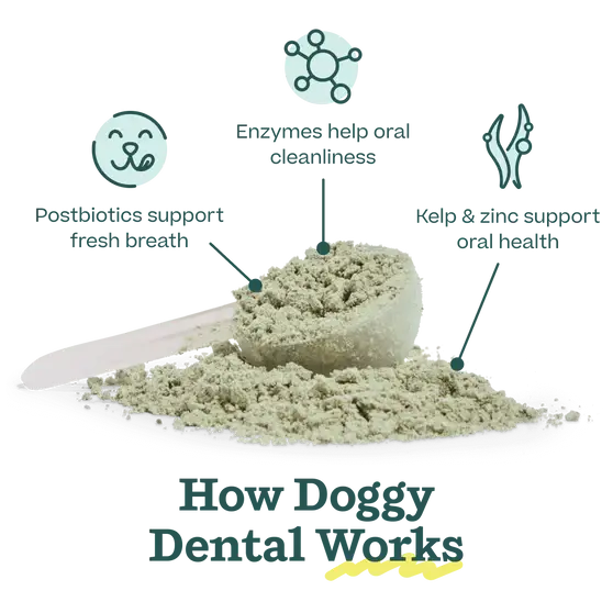 Woof - Pupsicle Mix - Doggy Dental