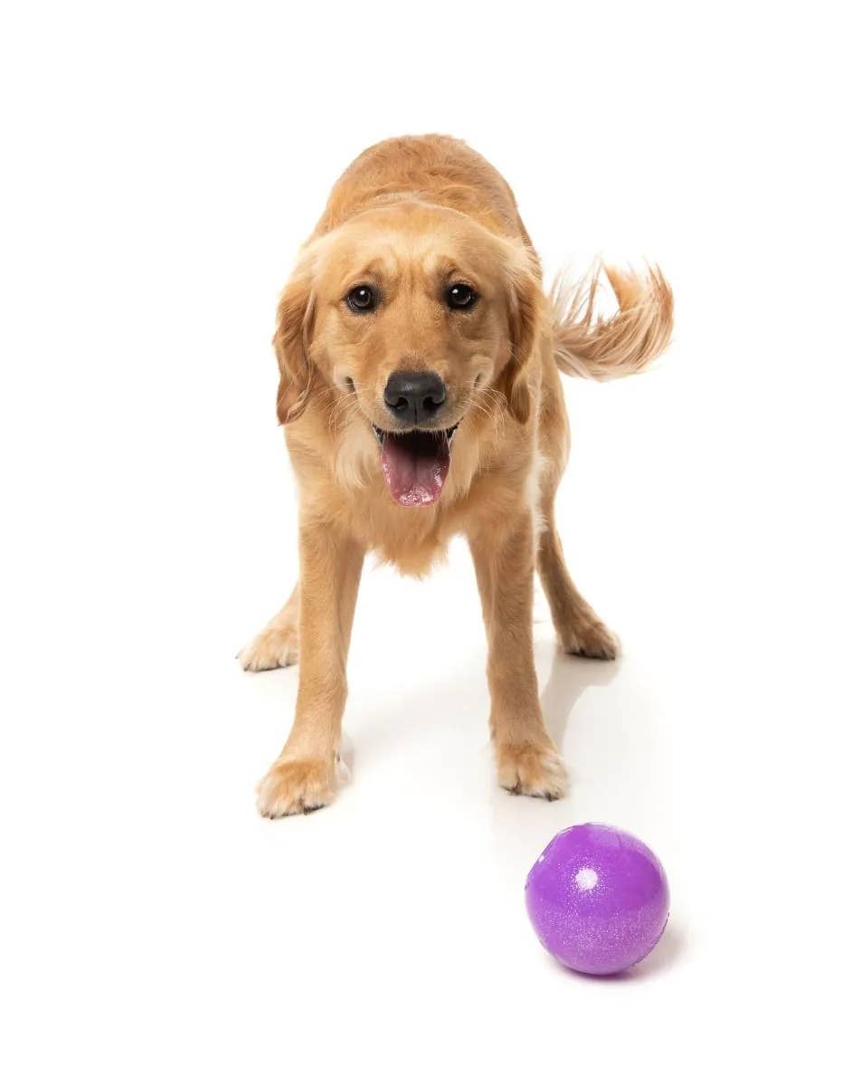 FuzzYard Truth Tellin' Treat Ball