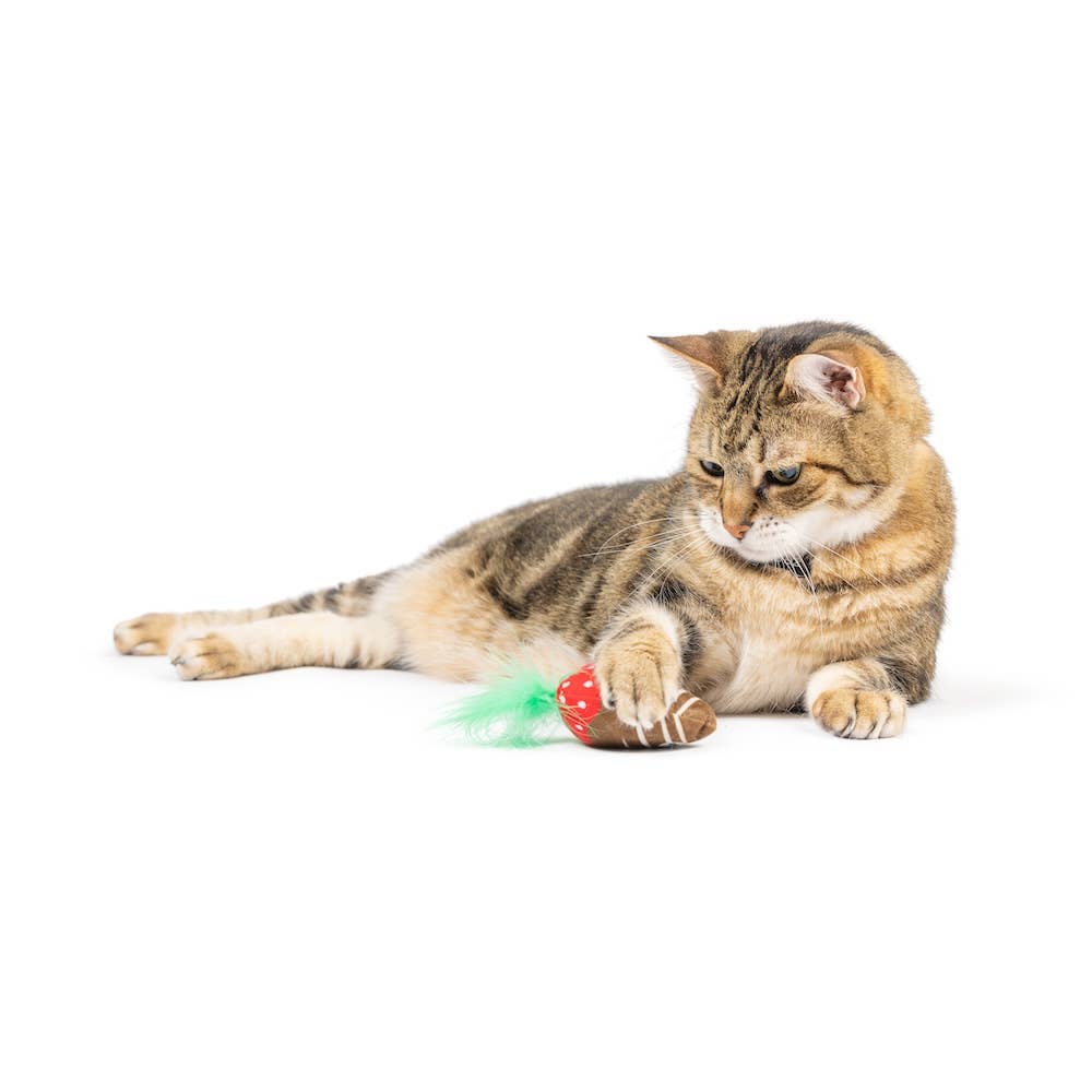 Huxley & Kent - Chocolate Strawberry Cat Toy