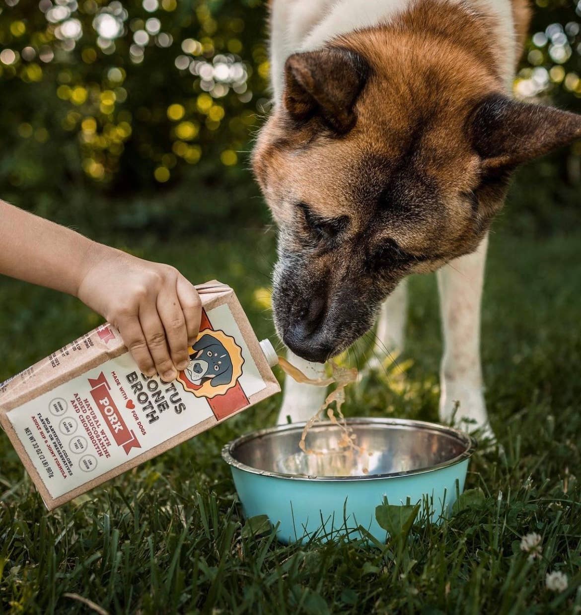 Brutus Bone Broth - Pork