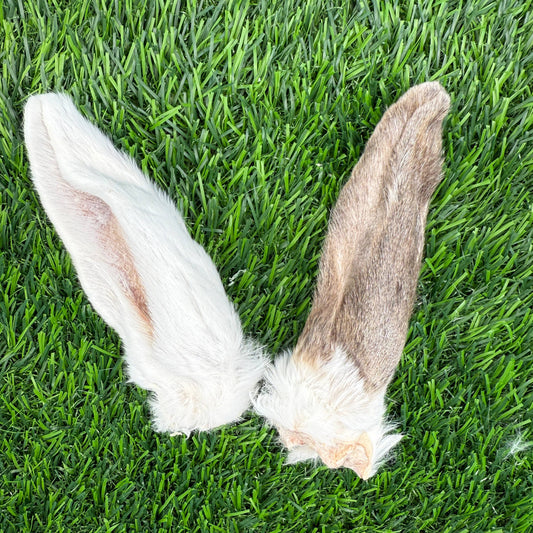 Rabbit Ears