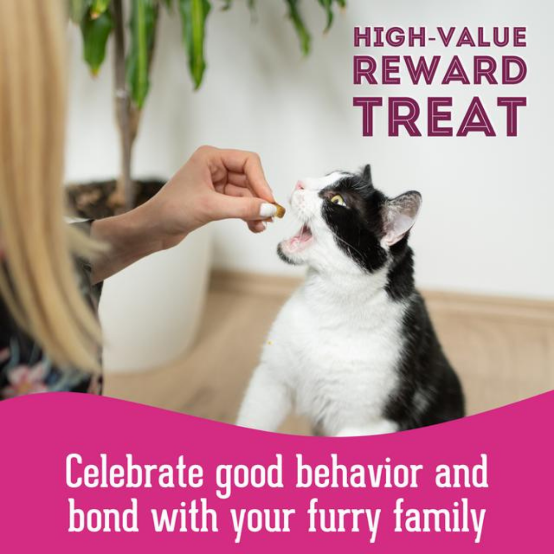 The Granville Island Pet Treatery - Let's Hook Up