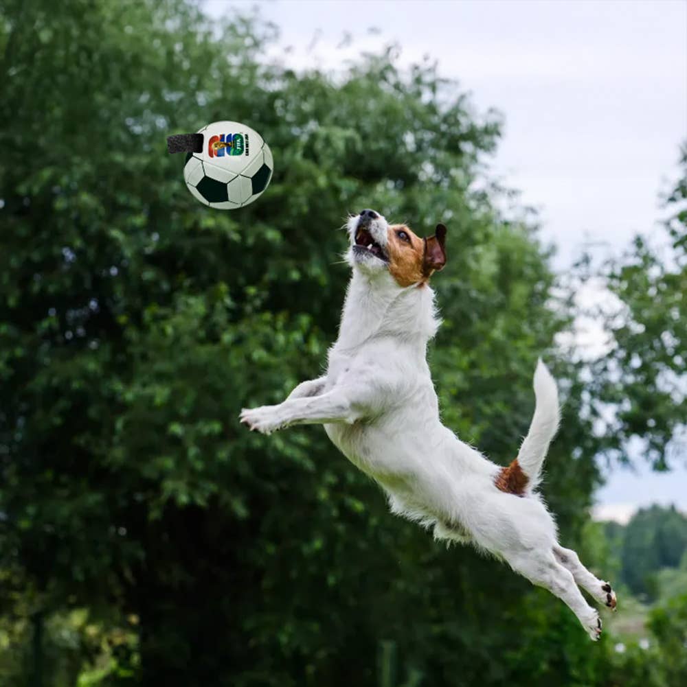 2026 FIFA World Cup Soccer Ball