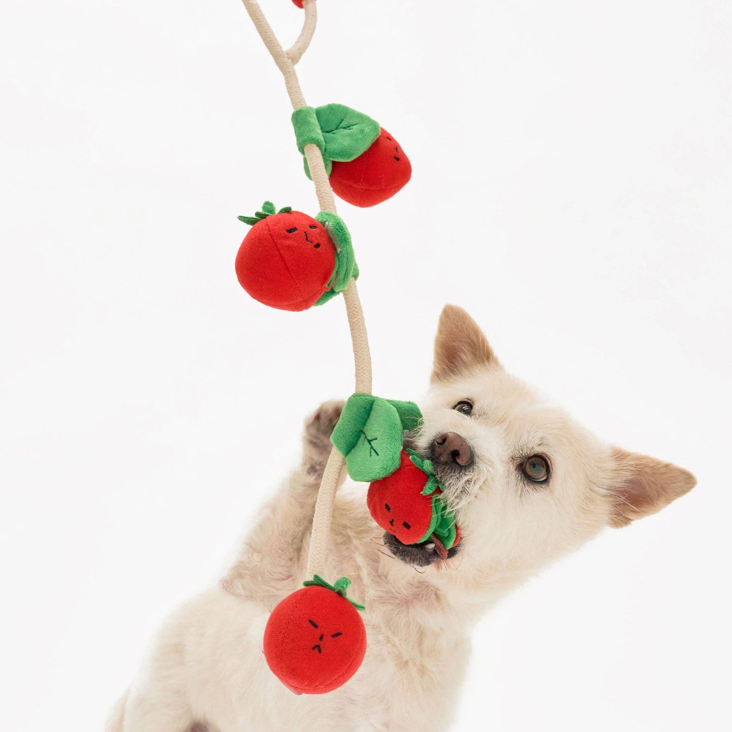 the furryfolks - Cherry Tomato Nose Work & Tug Toy