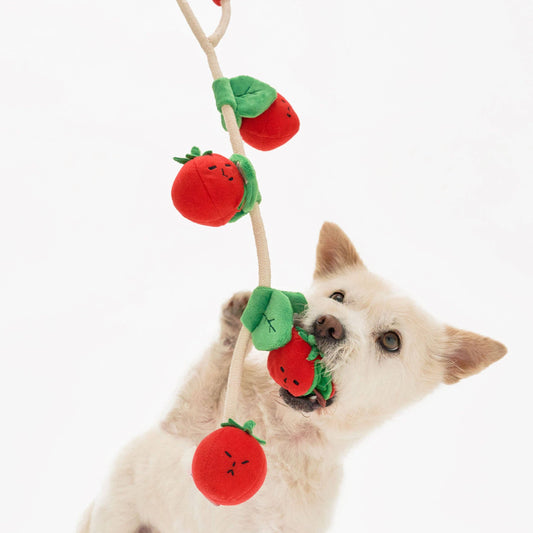 the furryfolks - Cherry Tomato Nose Work & Tug Toy