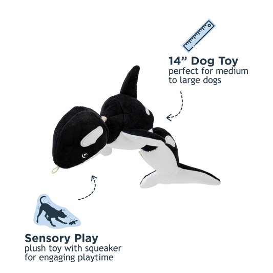 Tall Tails - Orca