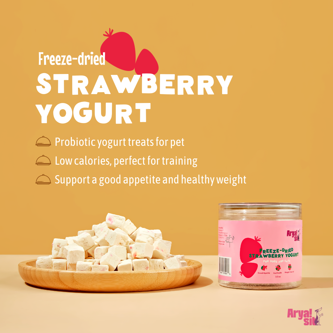 Arya Sit! - Freeze-Dried Strawberry Yogurt
