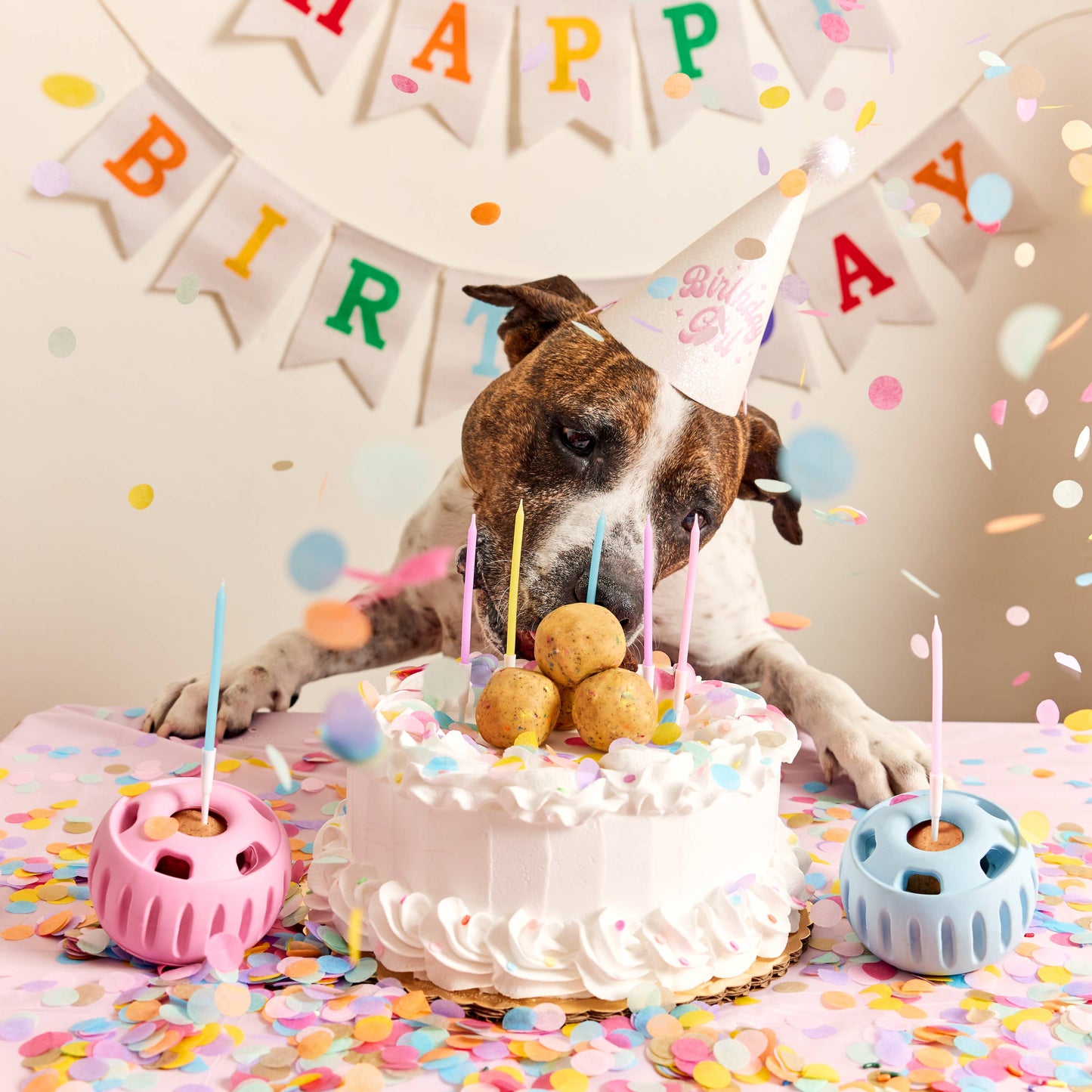 Woof - Party Pupsicle