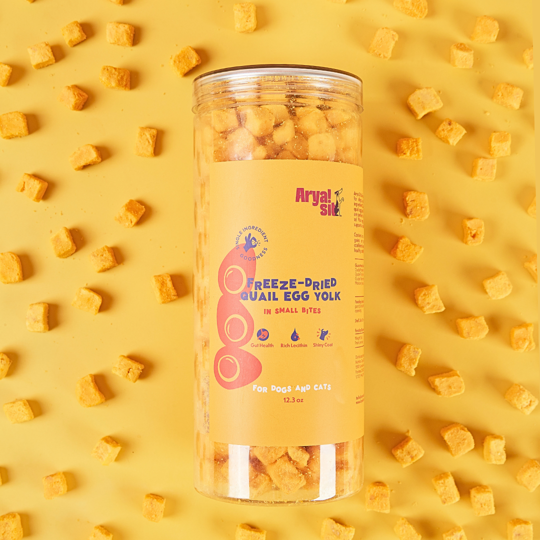 Arya Sit! - Freeze-Dried Egg Yolk Bites