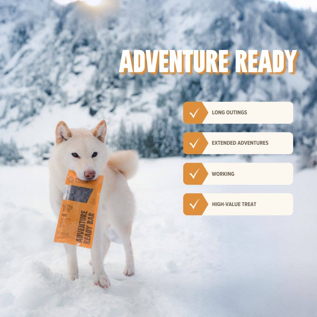 Ryōken Instinct Adventure Ready Bar - Pork