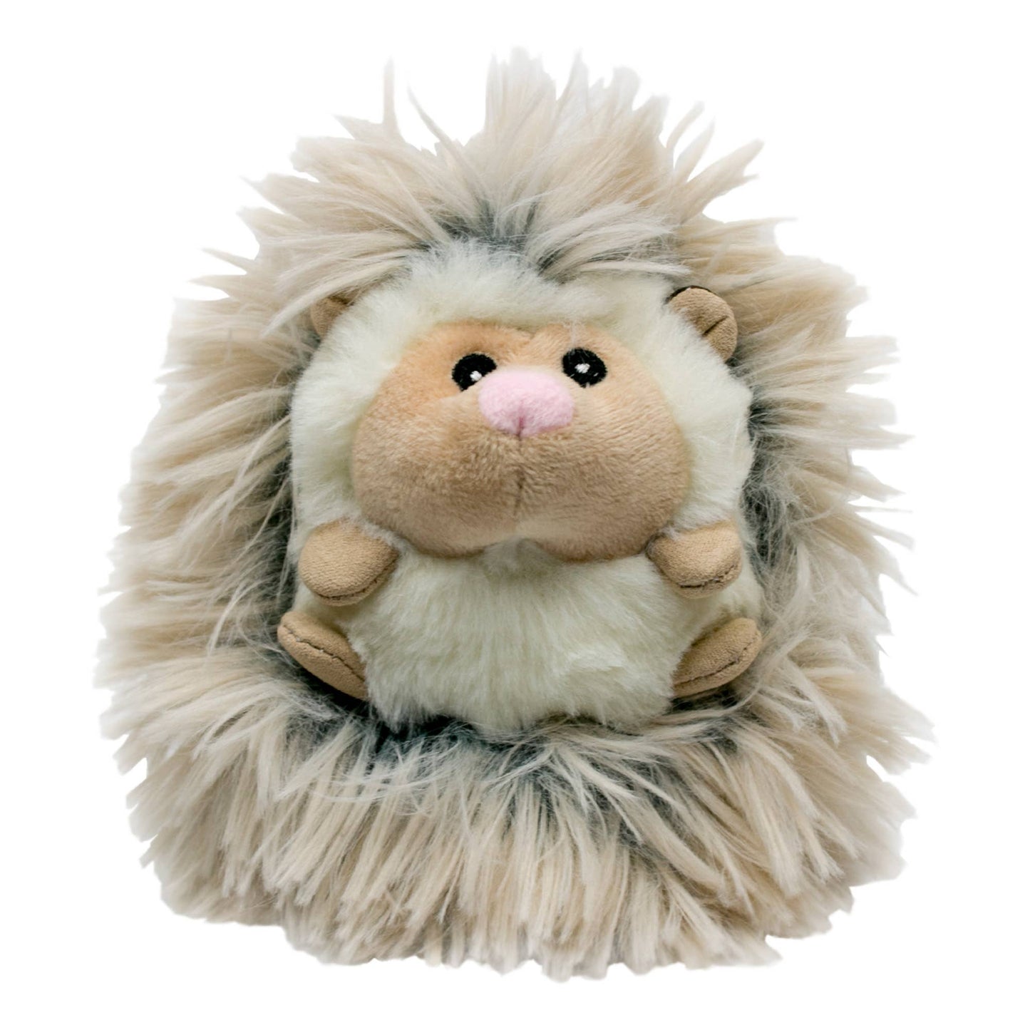 Tall Tails - Fluffy Baby Hedgehog