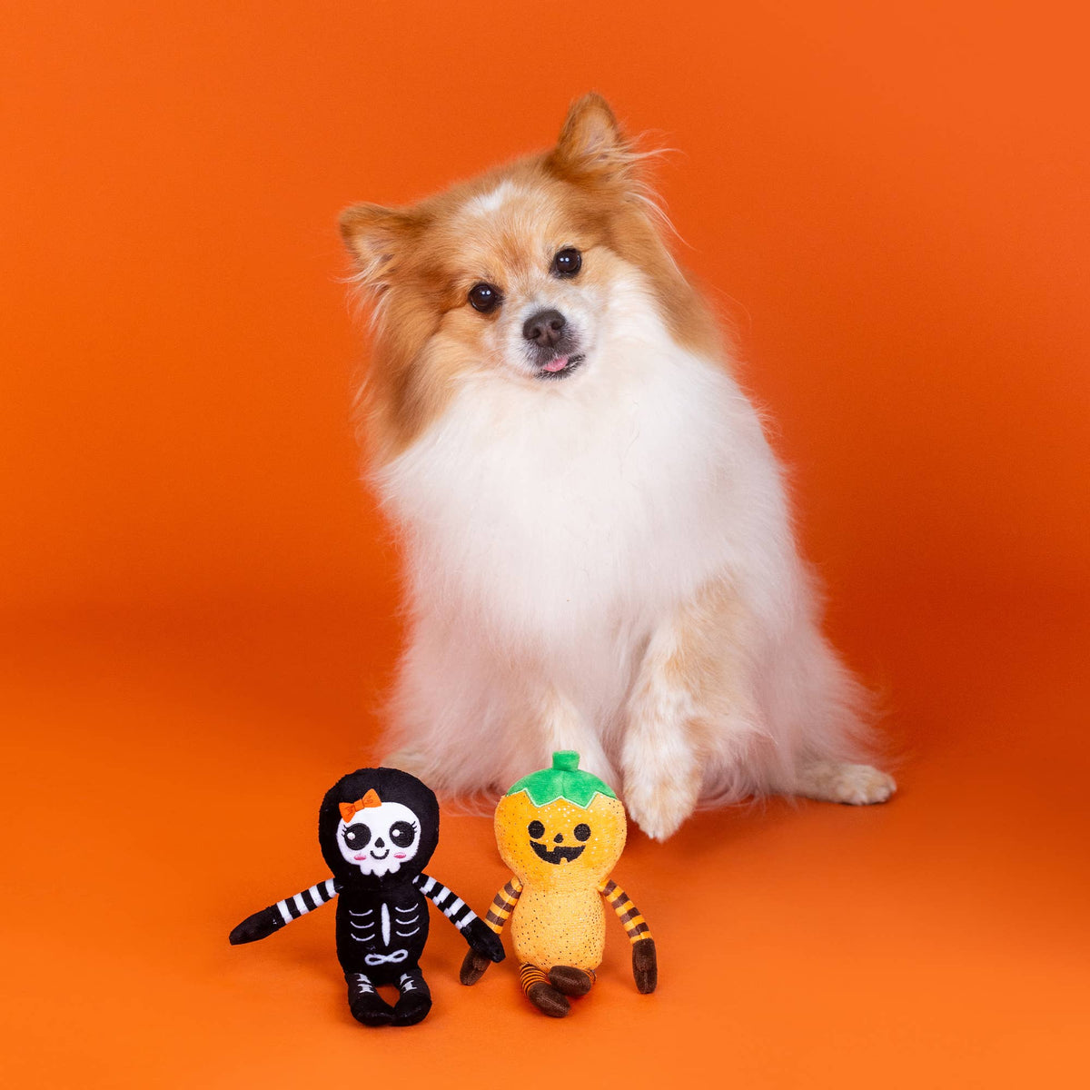 Petshop by Fringe Studio - Oh My Gourd