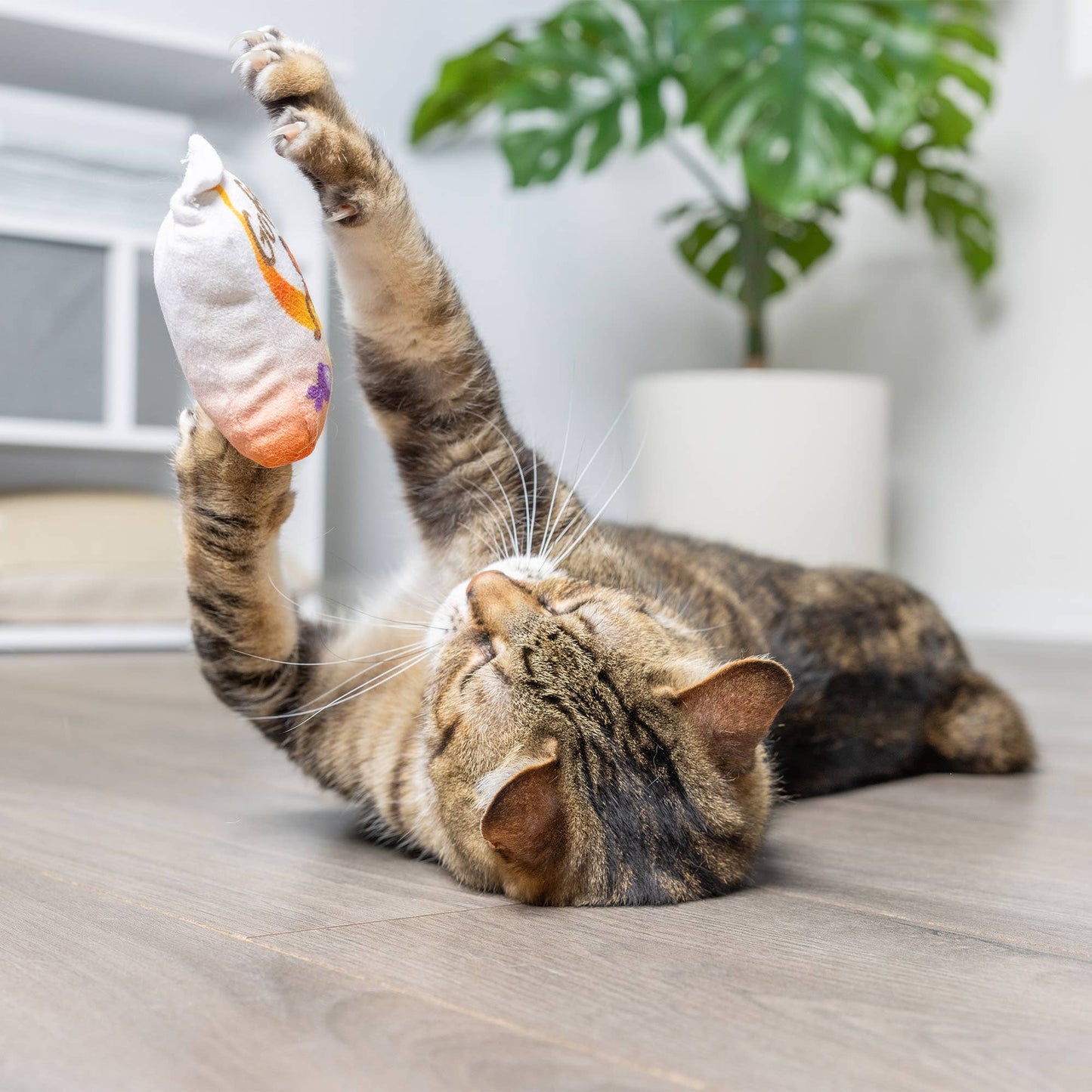 Huxley & Kent - Go Fish Phishy Cat Toy