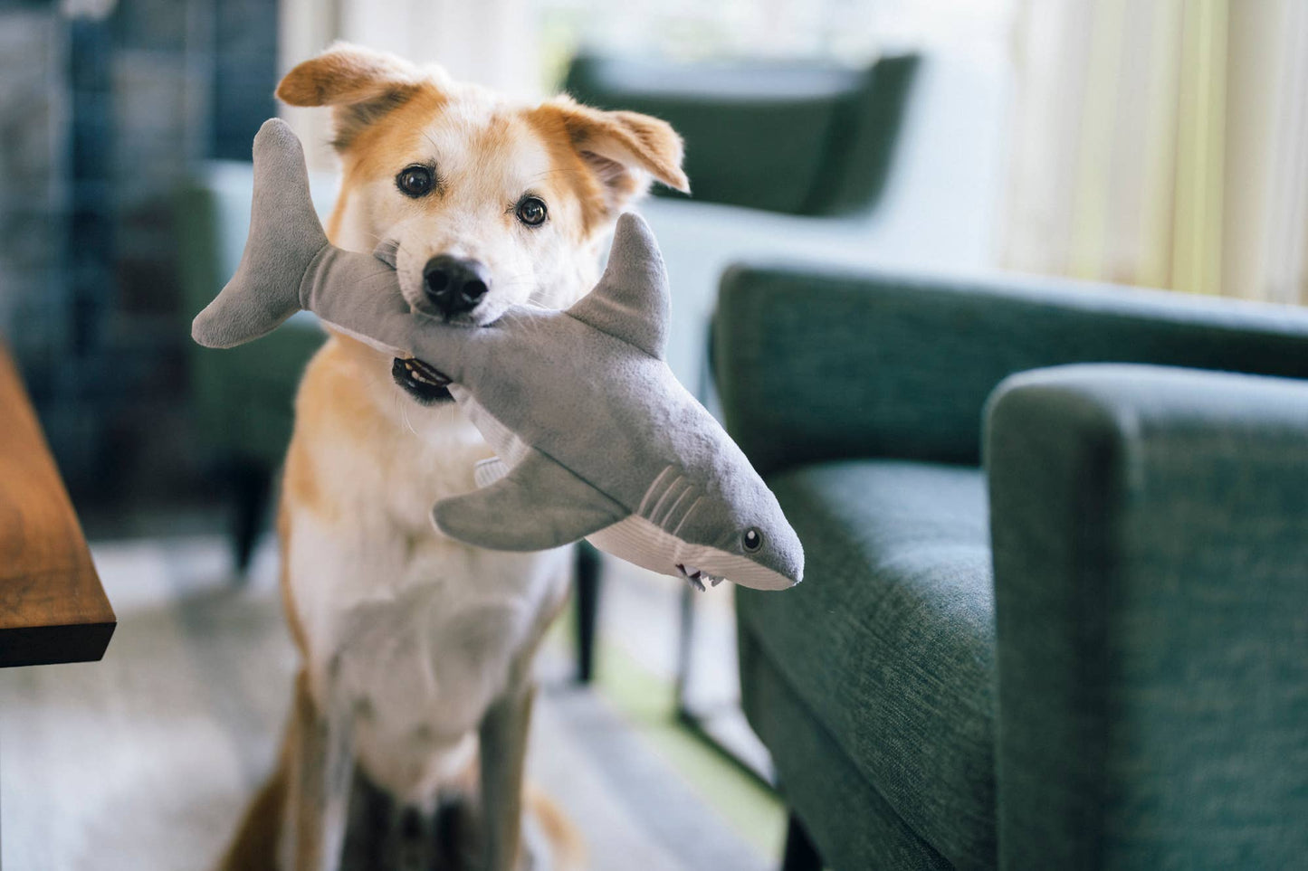 Play Pet Brands - Ocean Buddies - Great White Gabe