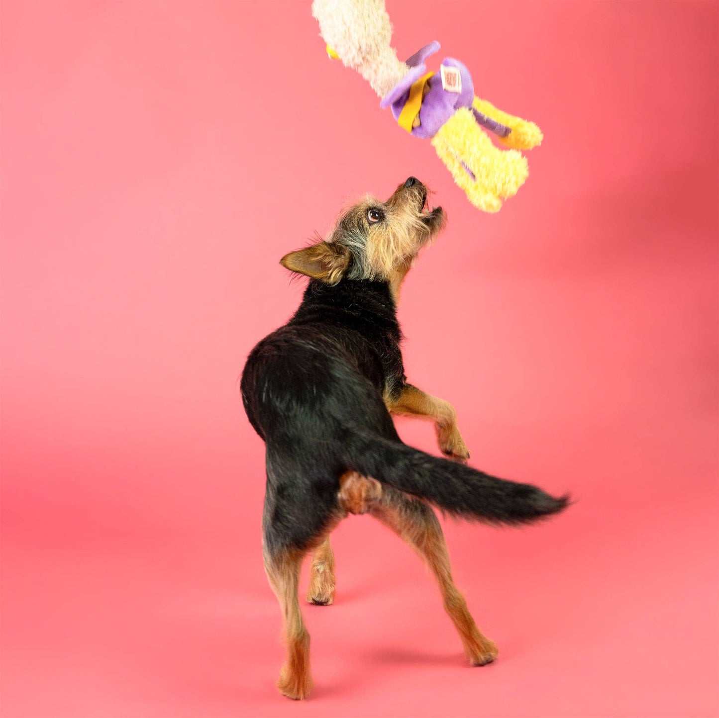 the furryfolks - OstriKraken Nosework Toy