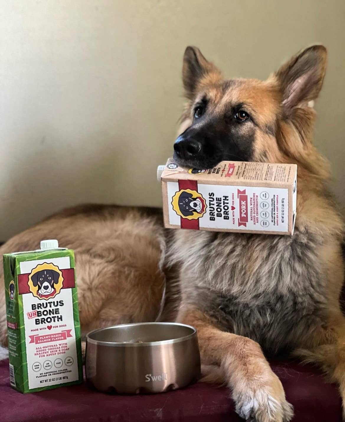 Brutus Bone Broth - Pork