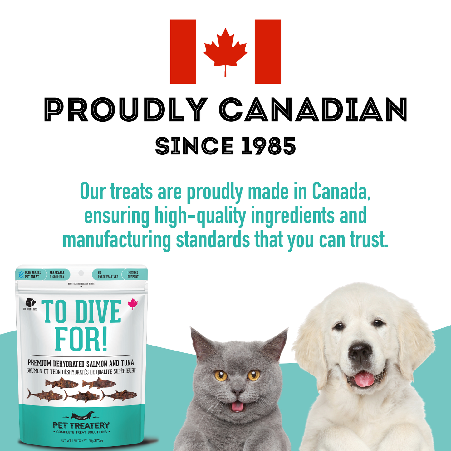 The Granville Island Pet Treatery - To Dive For!