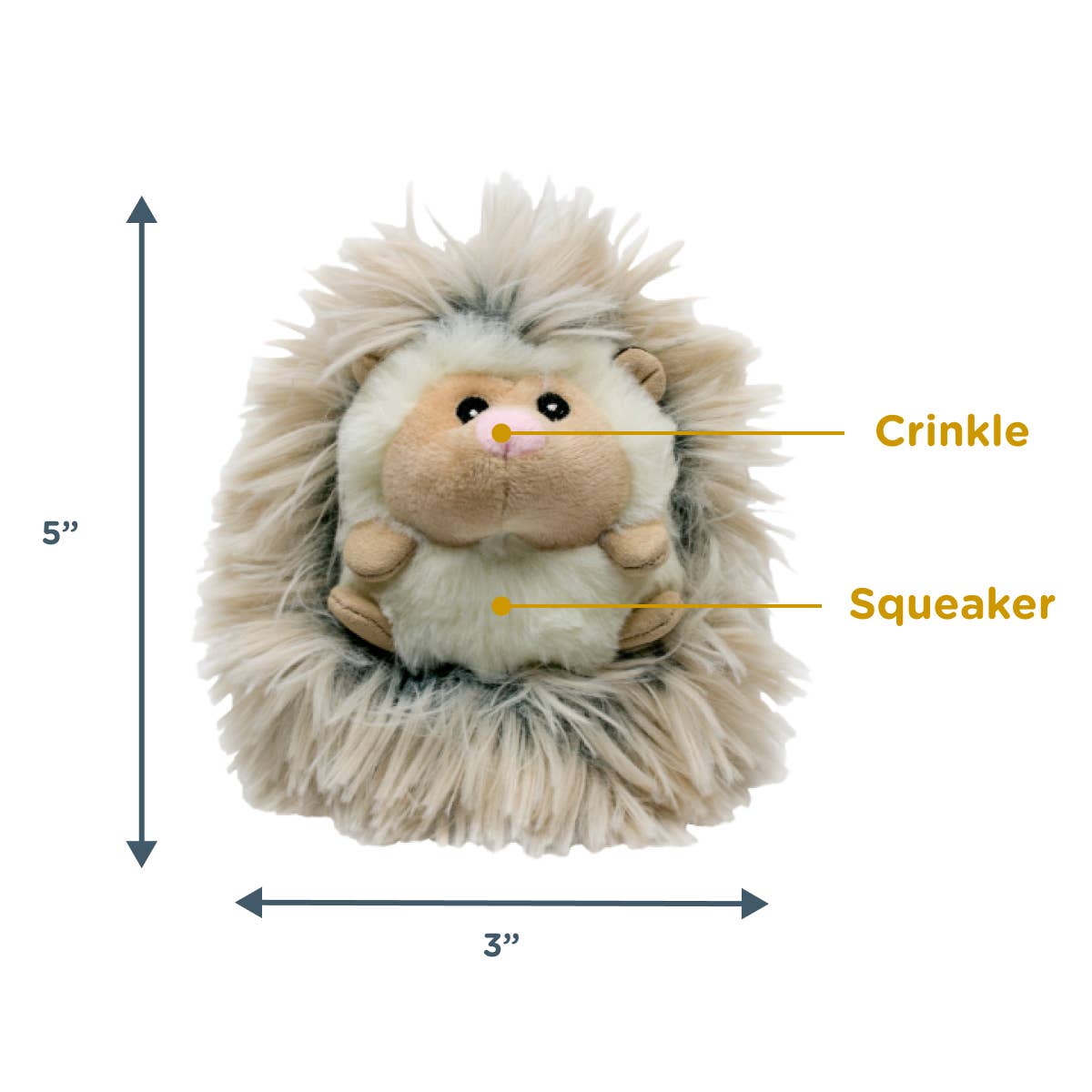 Tall Tails - Fluffy Baby Hedgehog
