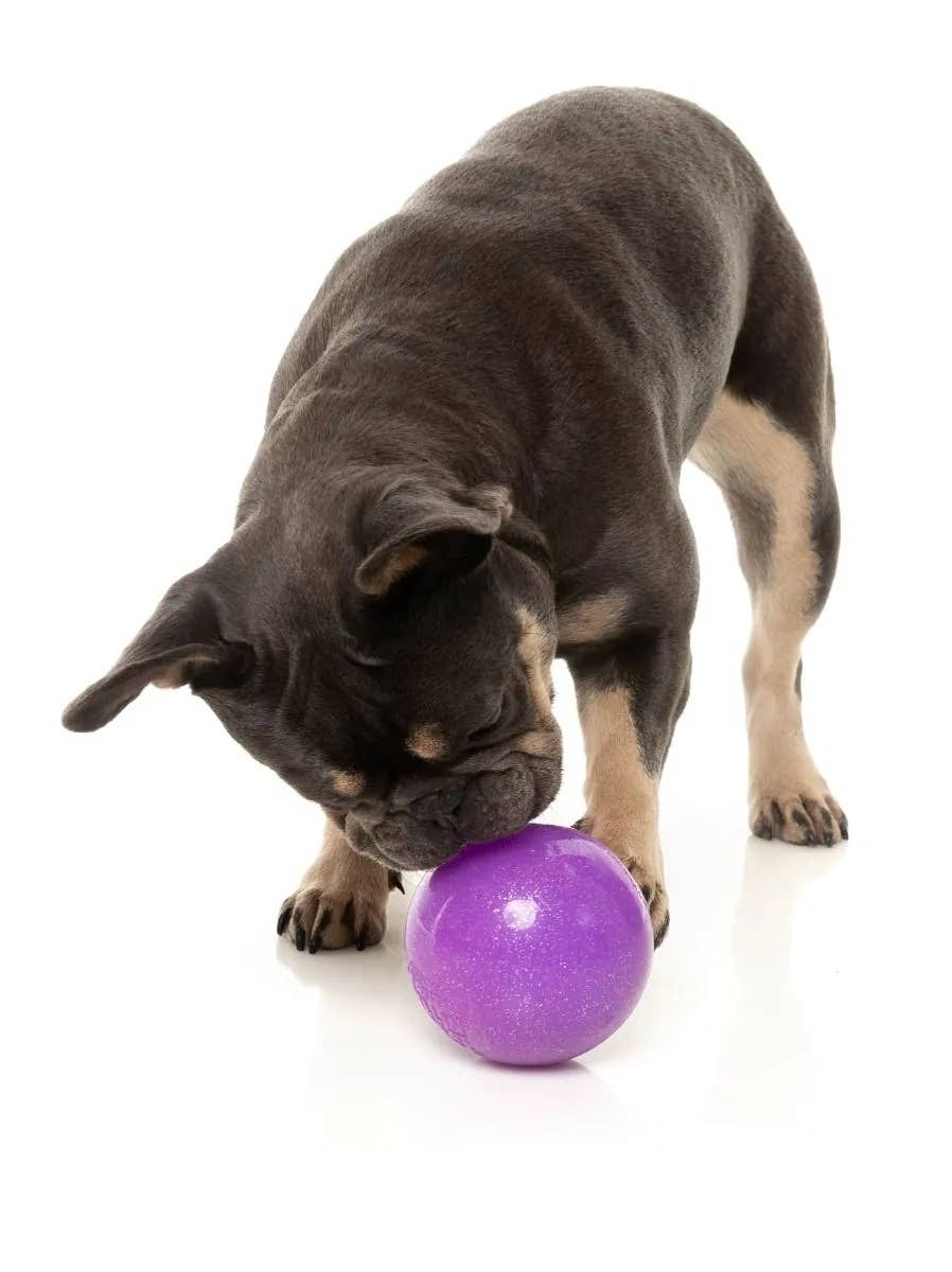 FuzzYard Truth Tellin' Treat Ball