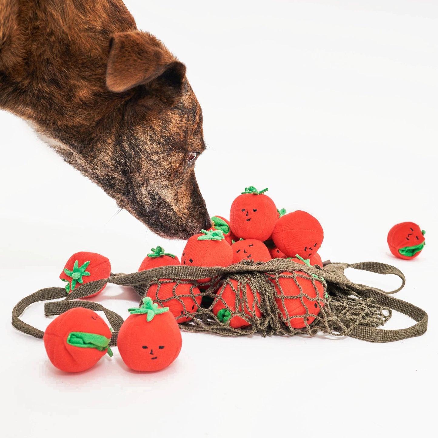 the furryfolks - Cherry Tomato Nose Work & Tug Toy