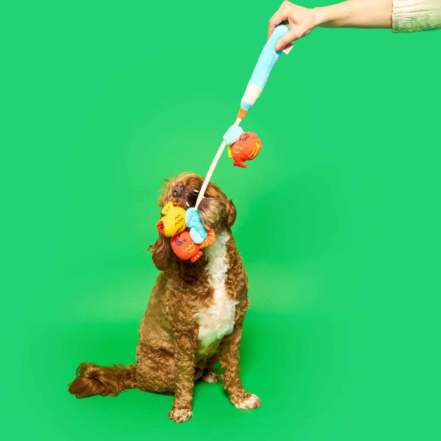the furryfolks - Fishing Nosework & Tug Toy