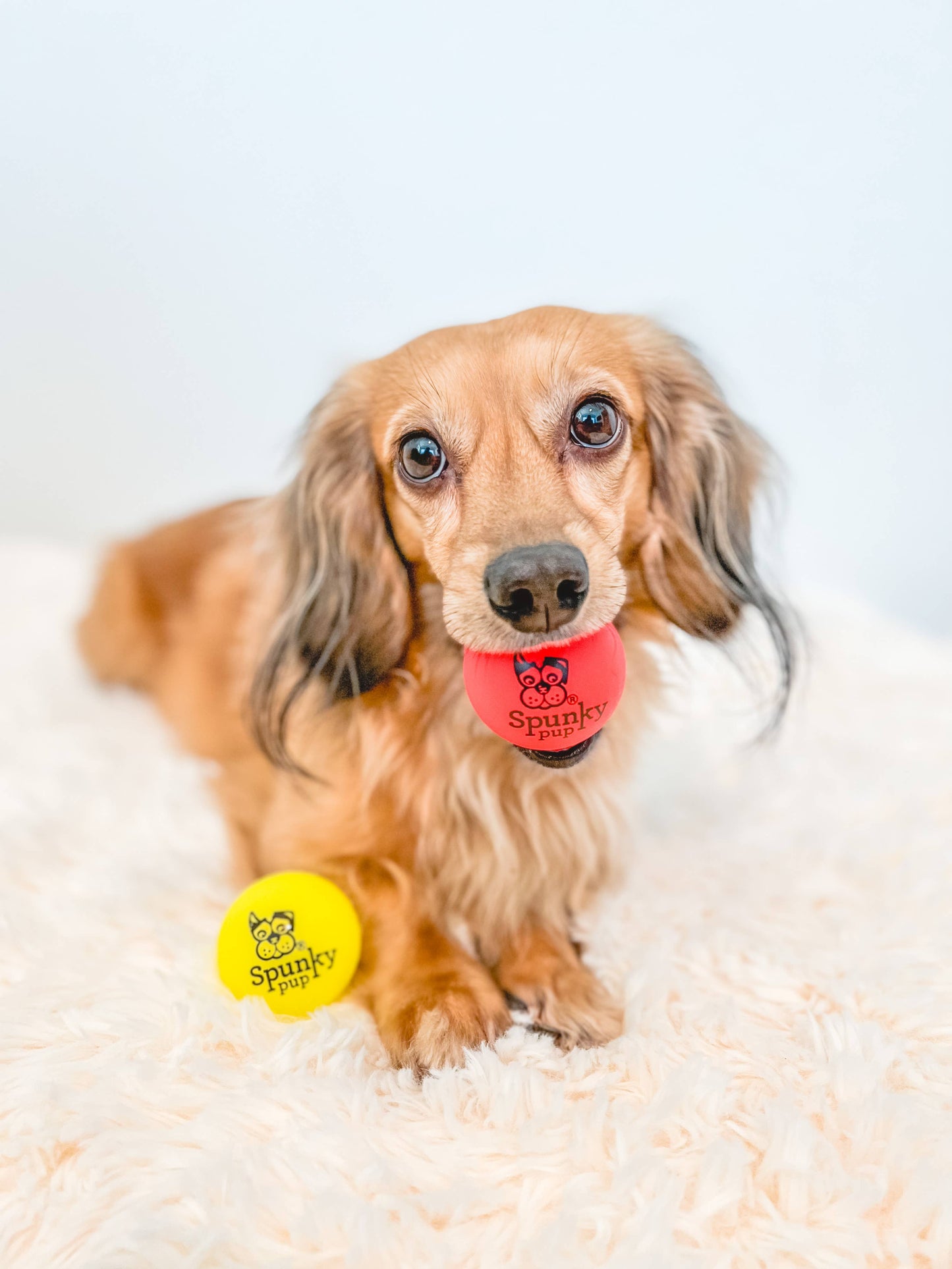 Spunky Pup - Fetch and Glow Ball