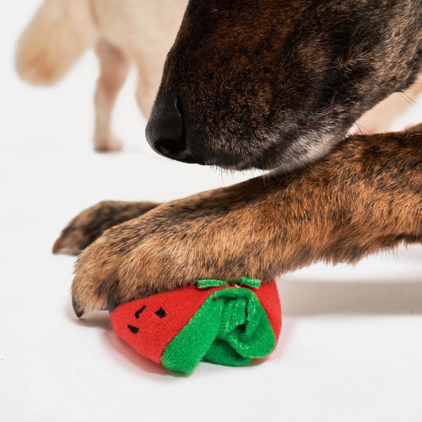 the furryfolks - Cherry Tomato Nose Work & Tug Toy