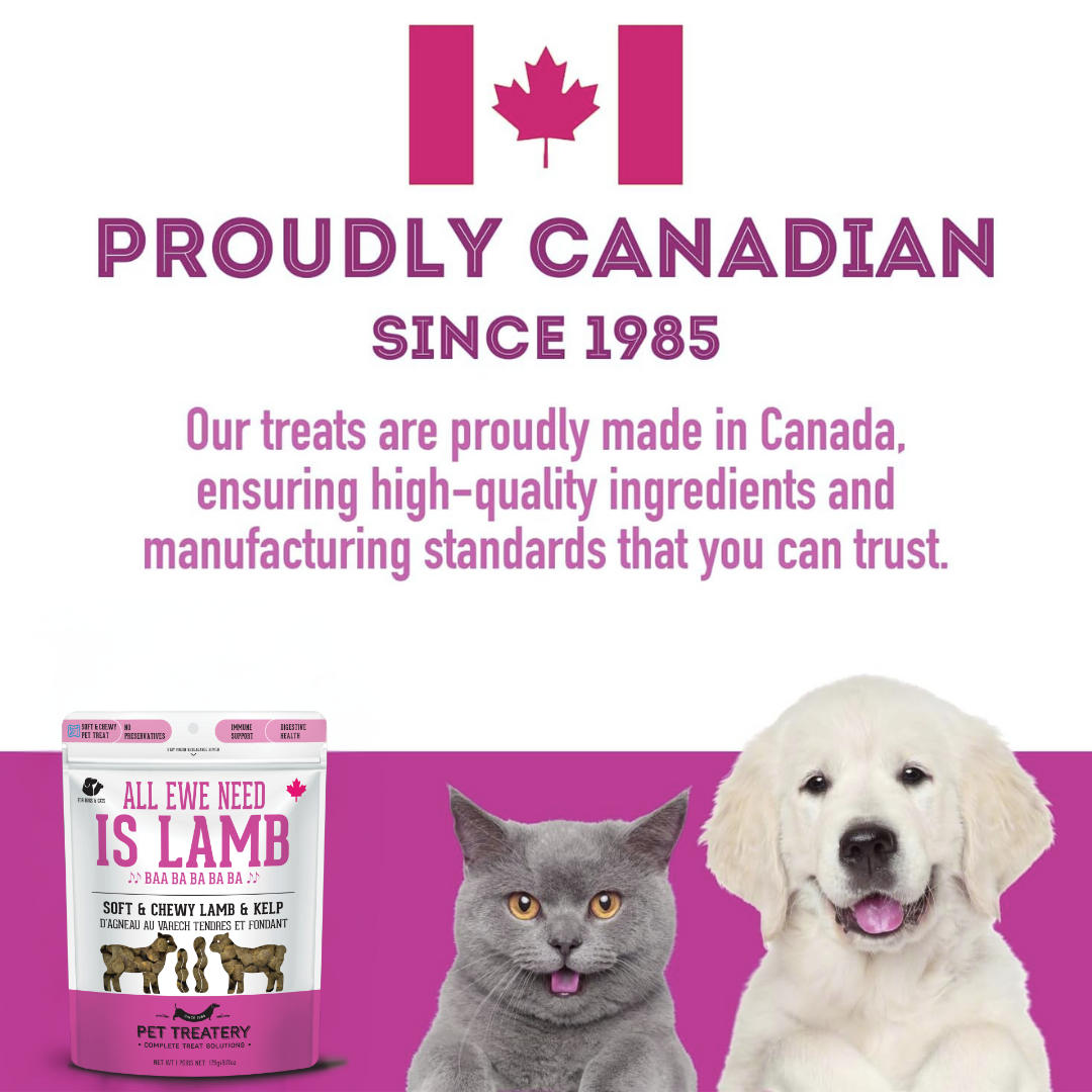 The Granville Island Pet Treatery - All Ewe Need is Lamb
