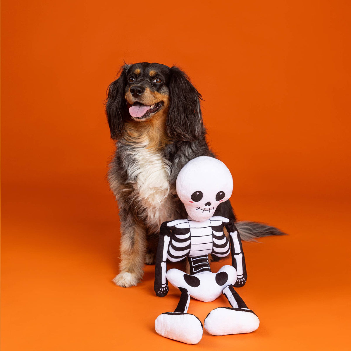 Petshop by Fringe Studio - Bone to Be Wild