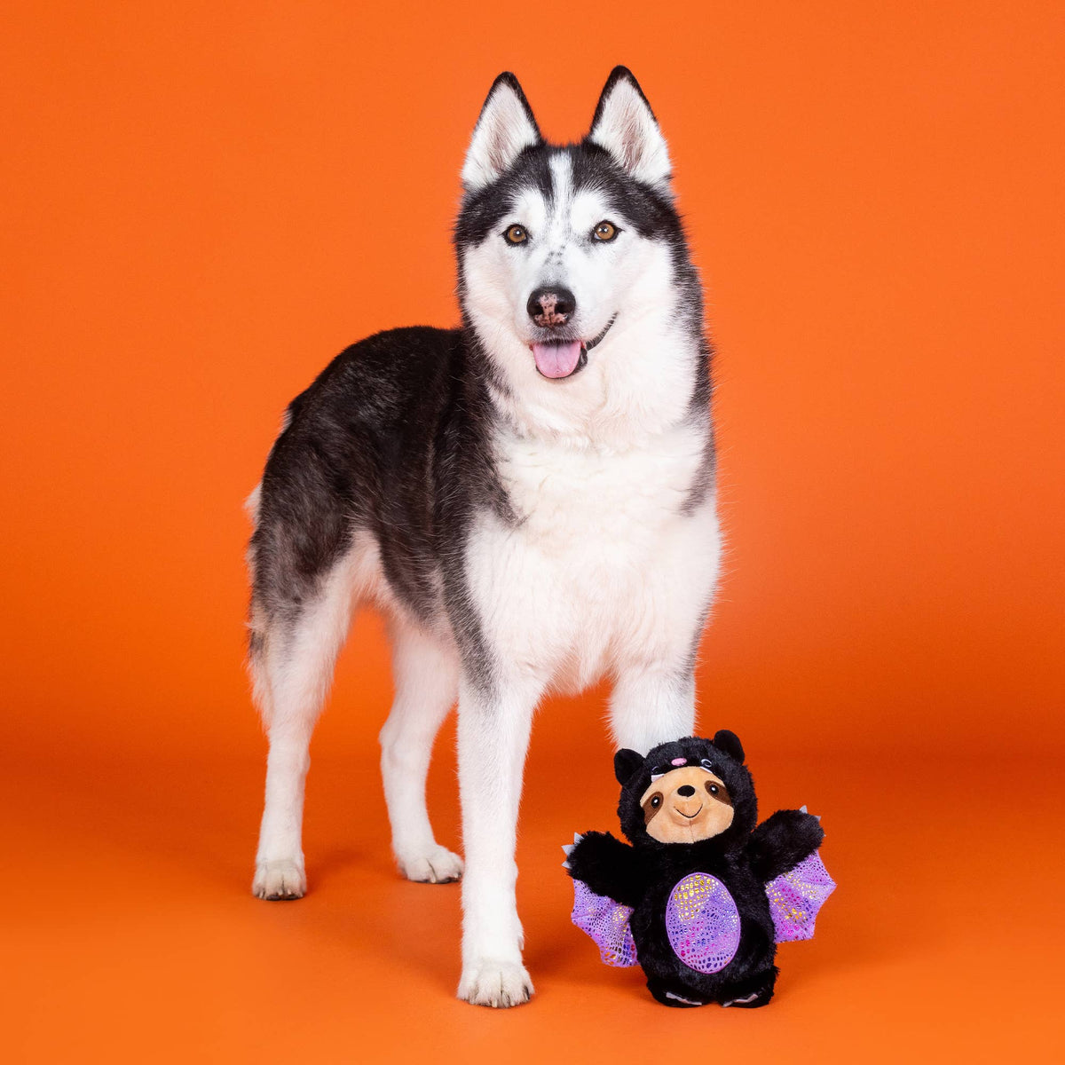 Petshop by Fringe Studio - It Be Like Bat