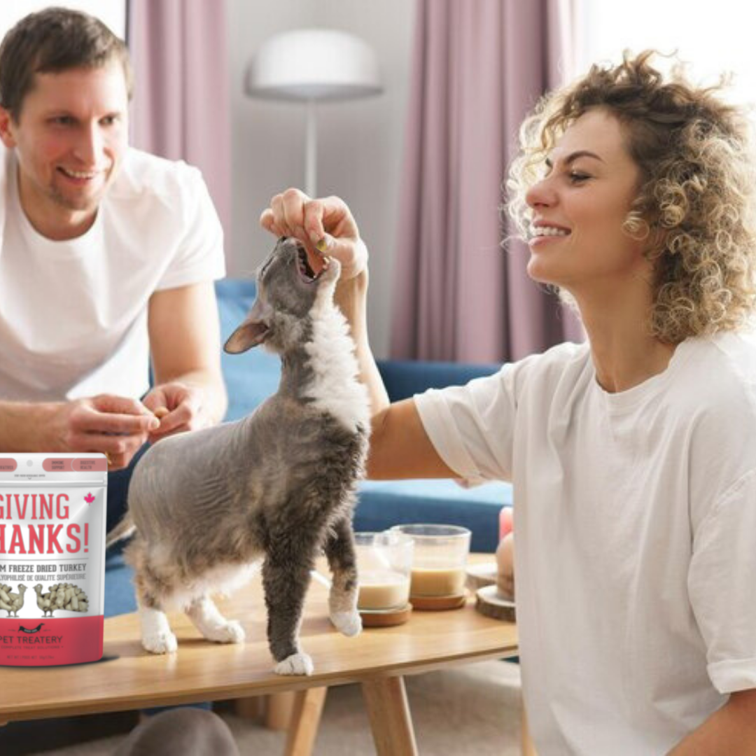 The Granville Island Pet Treatery - Giving Thanks