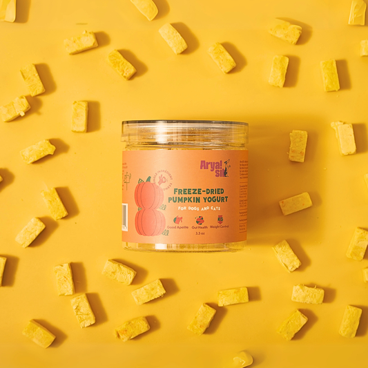 Arya Sit! - Freeze-Dried Pumpkin Yogurt