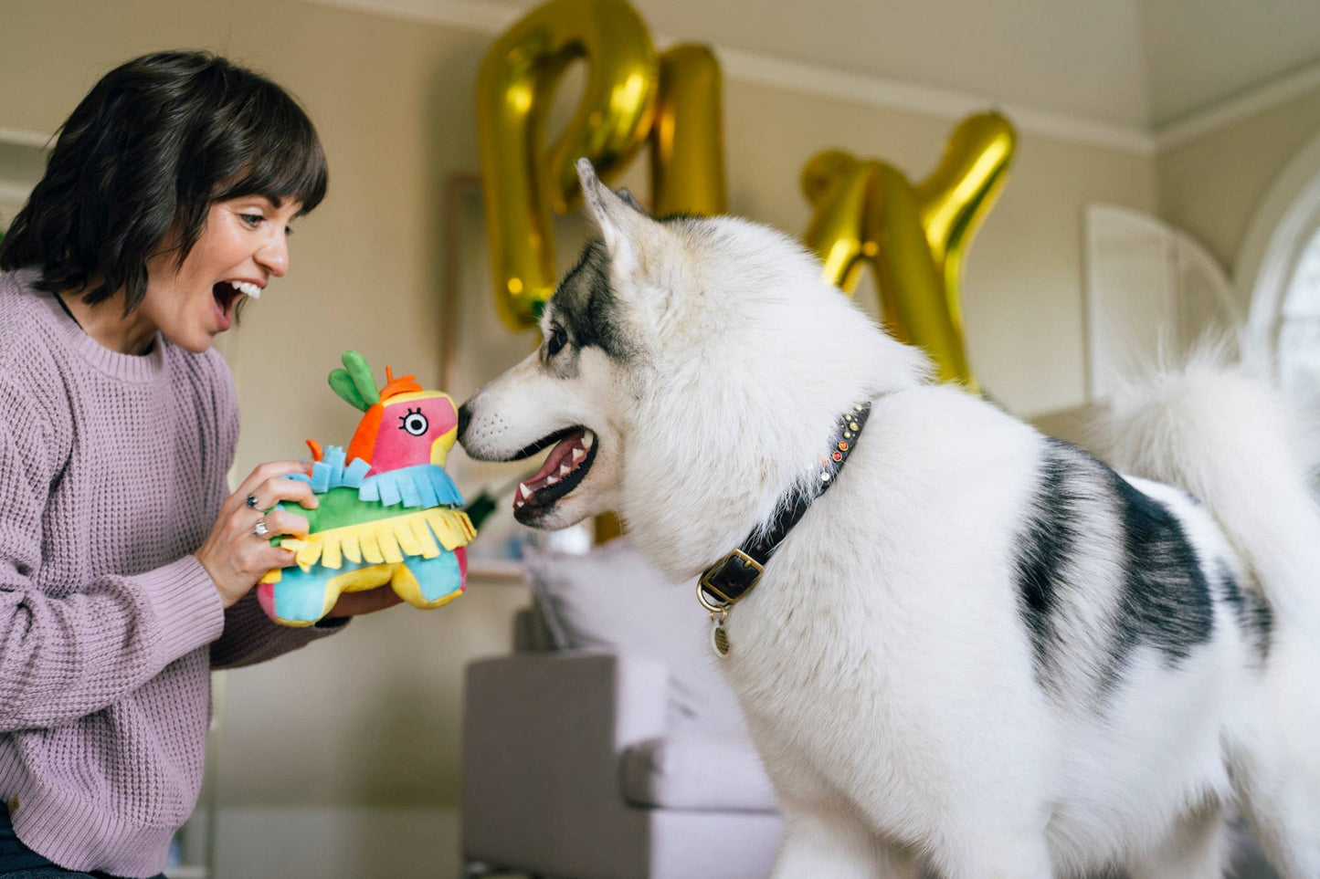 Play Pet Brands - Party Animal - Fiesta Fetch Piñata