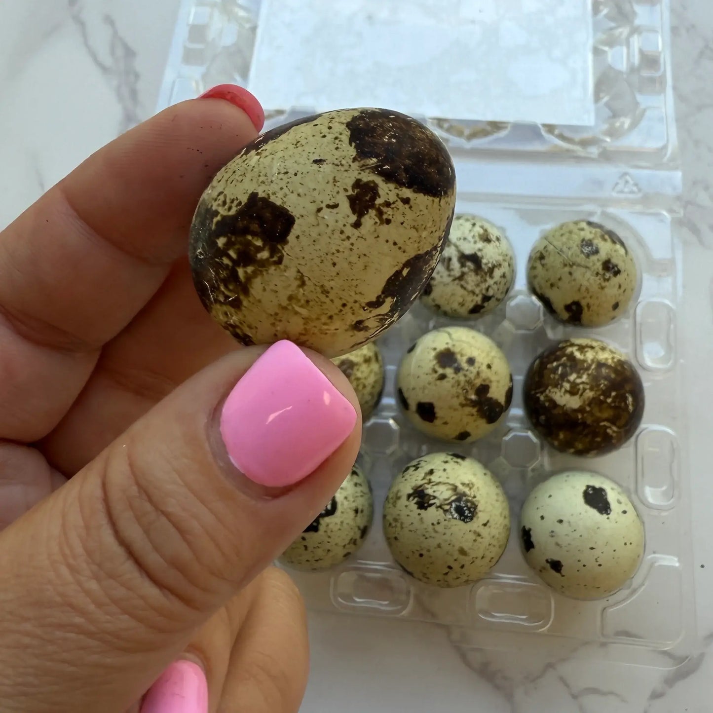 Golden Nibbles - Quail Eggs