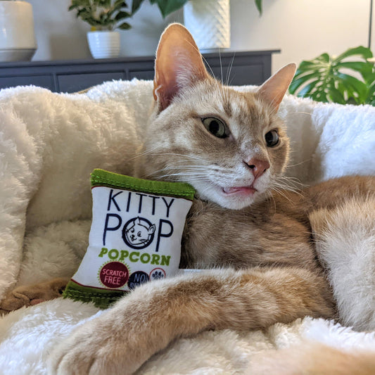 Huxley & Kent - Kitty Pop Cat Toy
