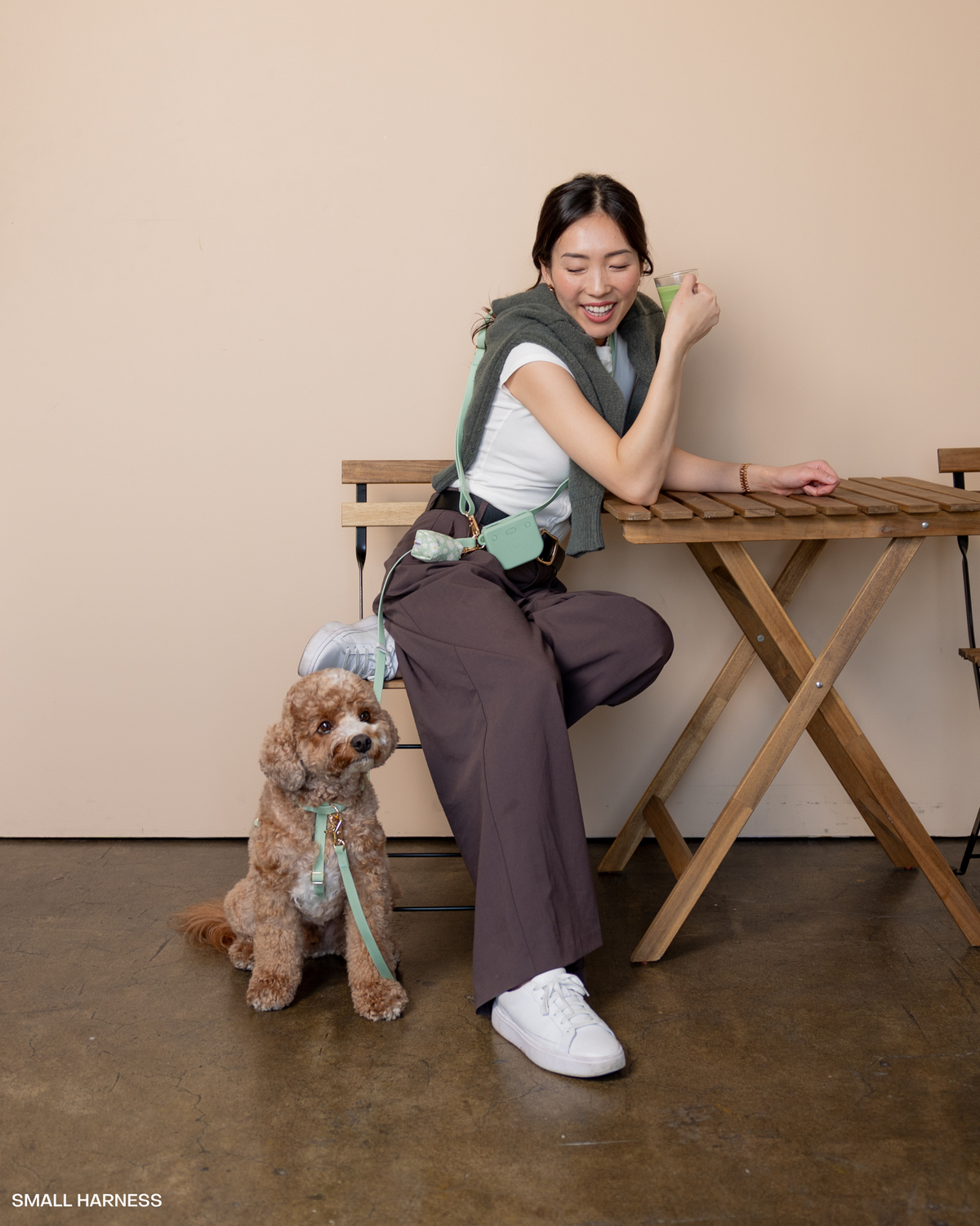 Sunny Tails - Pistachio Green Snap Dog Treat Pouch