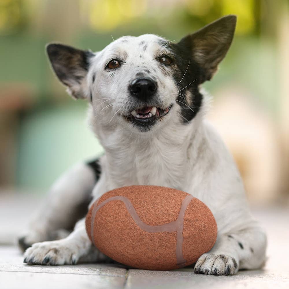 NFL Seattle Seahawks Tough Chewer Ball