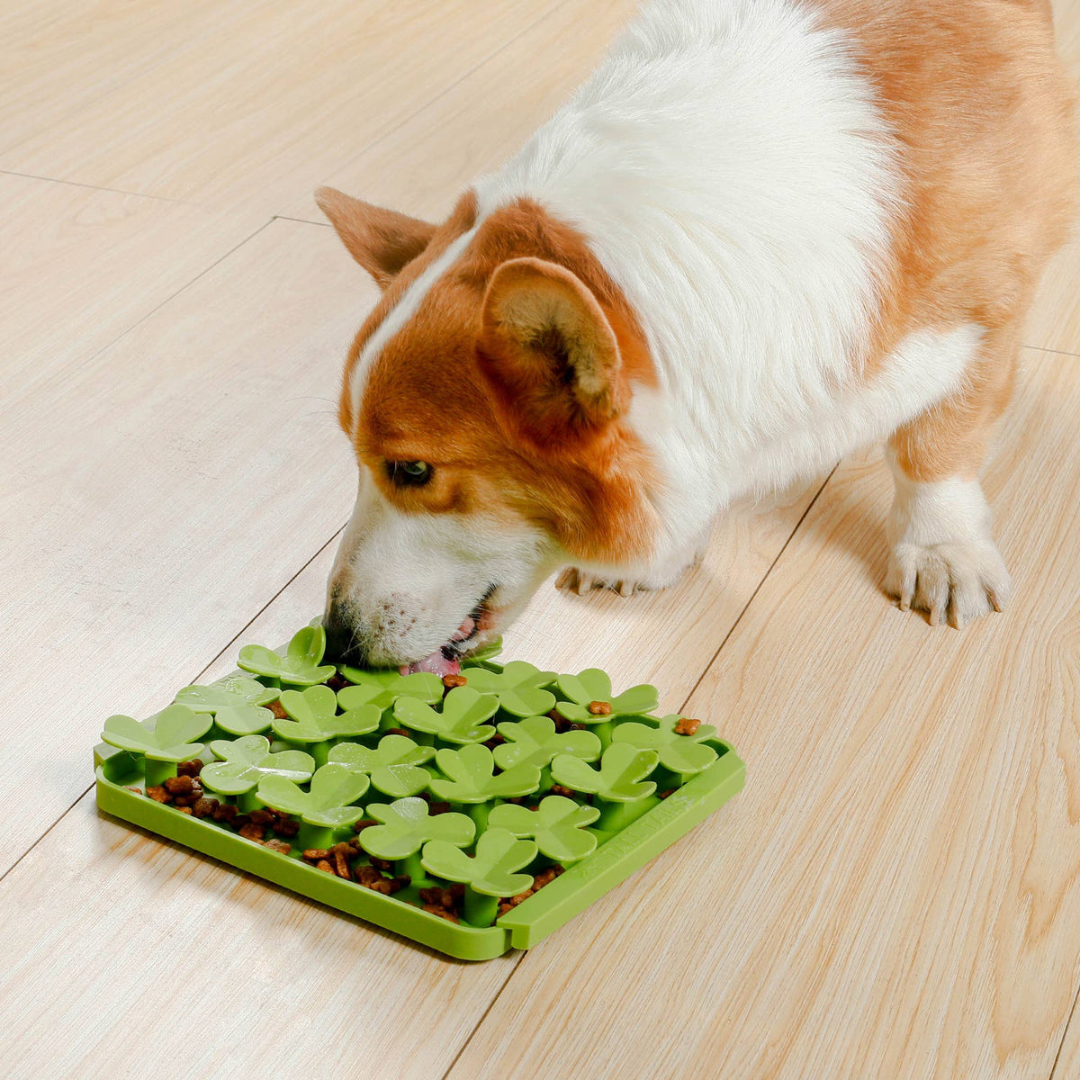 Tall Tails - Foraging Mat - Spring Clover