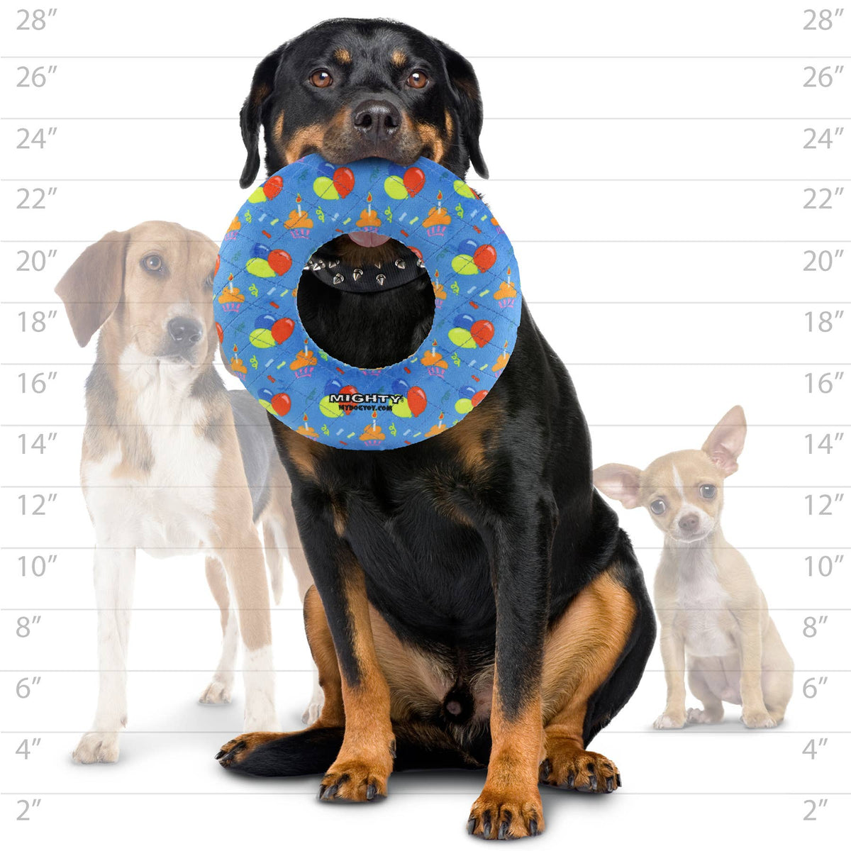 Tuffy Dog Toys - Mighty Celebration - Ring - Medium