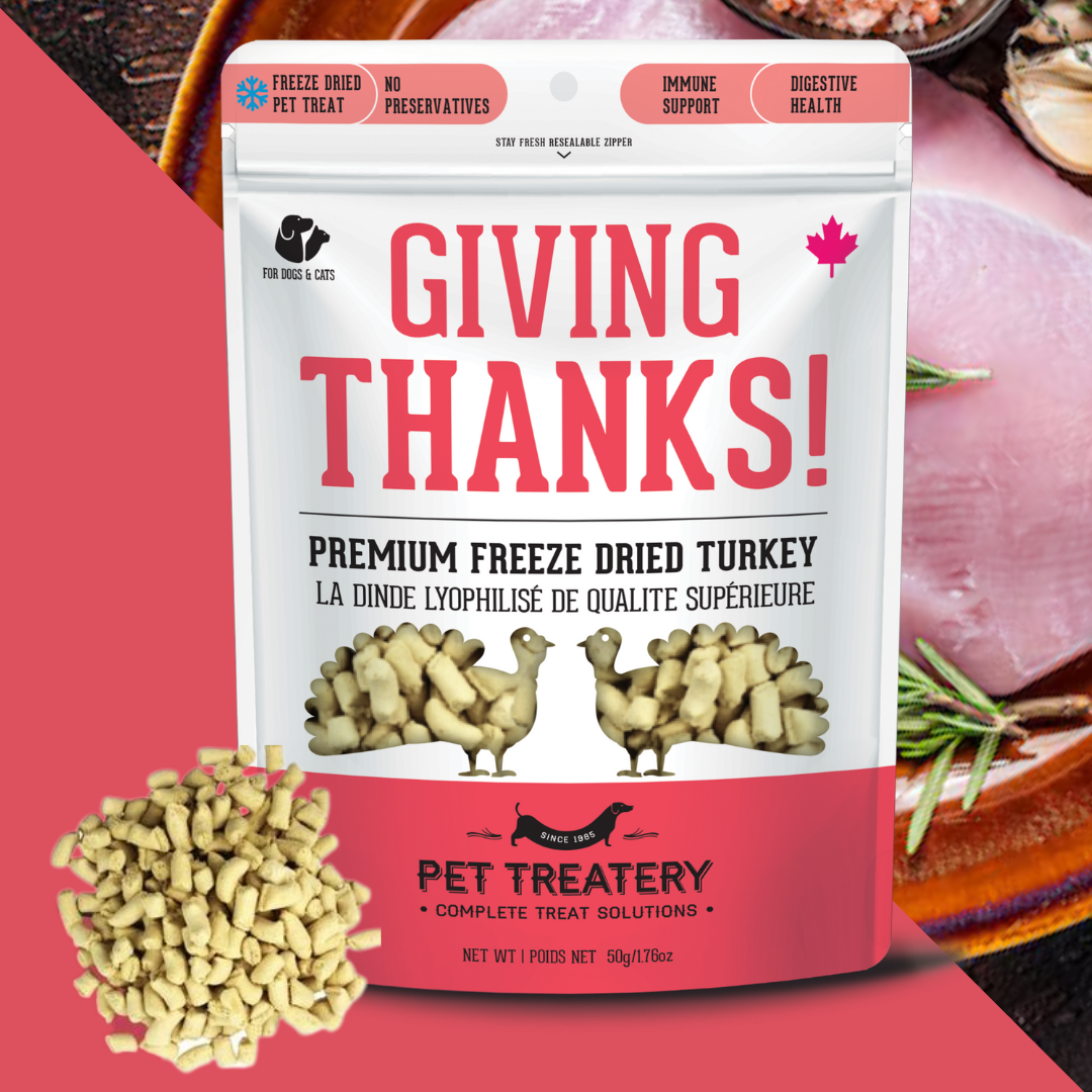 The Granville Island Pet Treatery - Giving Thanks
