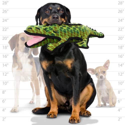 Tuffy Dog Toys - Tuffy Ocean  Alligator - Large
