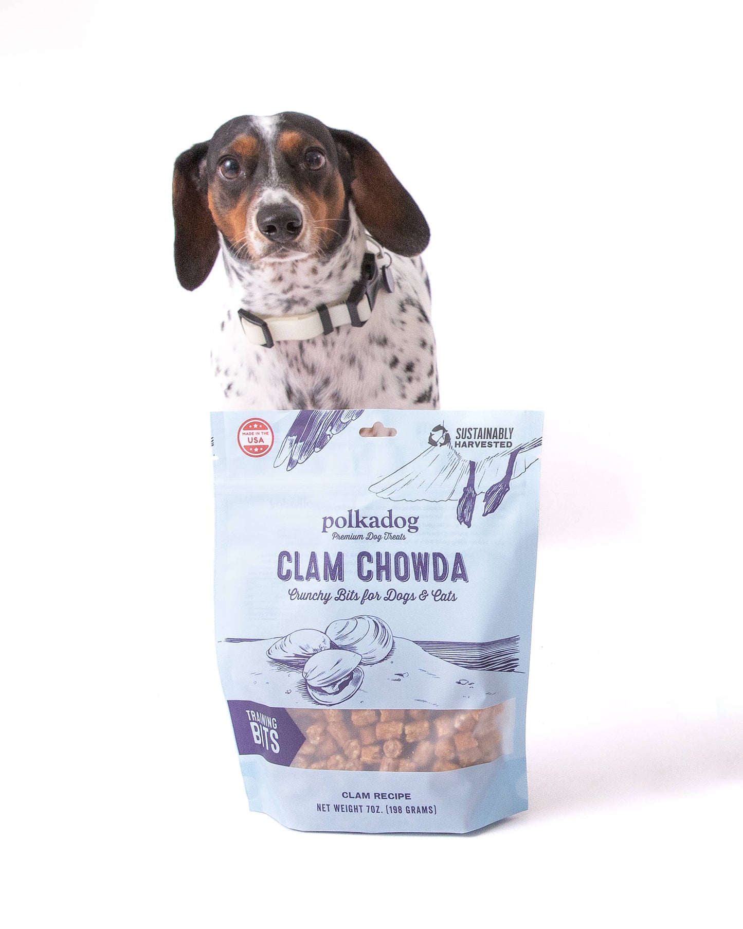 Polkadog - Training Bits - Clam Chowda