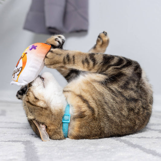 Huxley & Kent - Go Fish Phishy Cat Toy