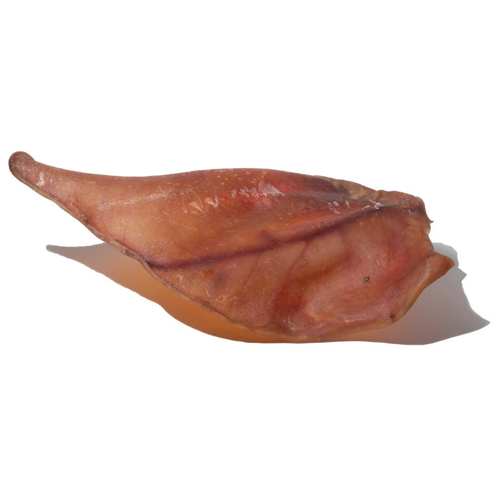 Pig Ear