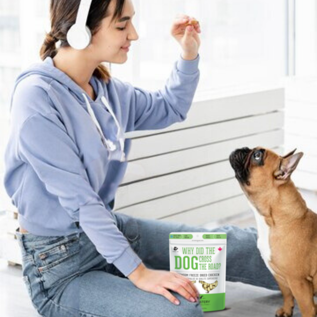 The Granville Island Pet Treatery - Why Did the Dog Cross the Road?